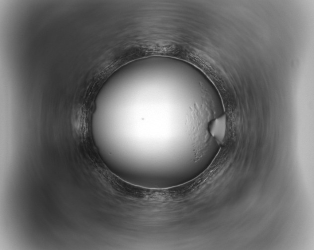 X0000093621058200710151256