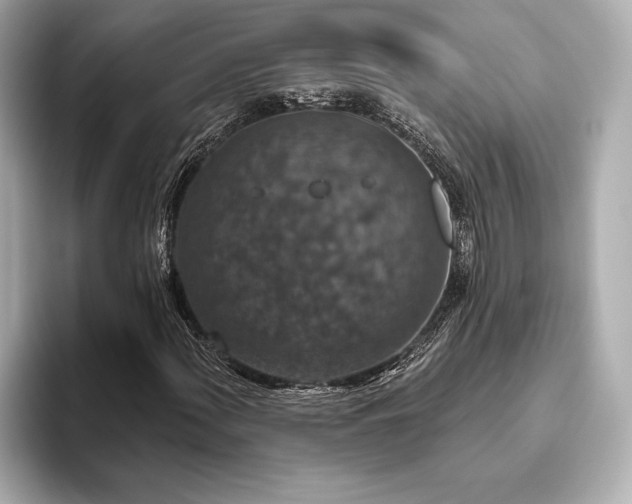 X0000093621060200710151256