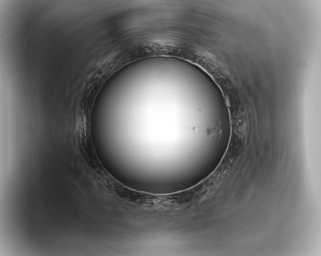 X0000093621061200710151256