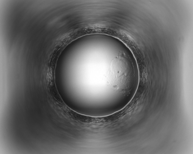 X0000093621062200710151256
