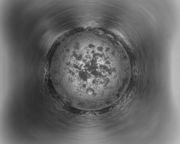 X0000093621063200710151256