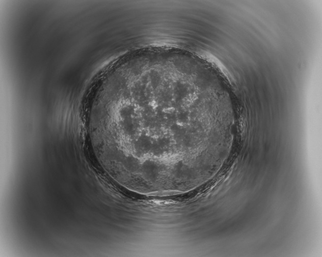 X0000093621064200710151256