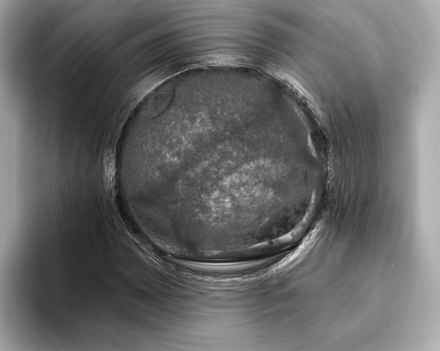 X0000093621065200710151256