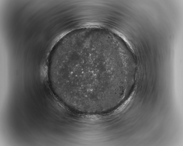 X0000093621066200710151256