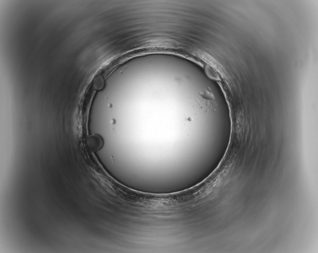 X0000093621067200710151256
