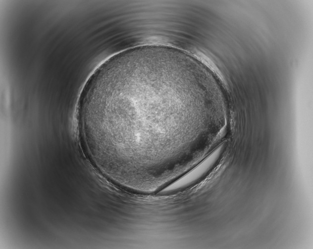 X0000093621068200710151256