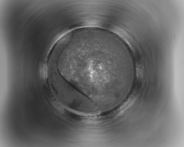 X0000093621069200710151256