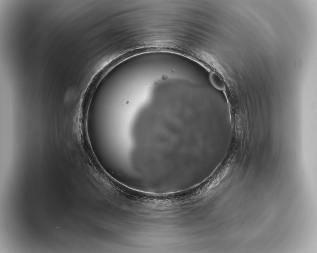 X0000093621071200710151256