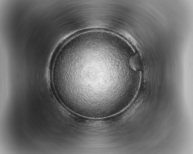 X0000093621072200710151256