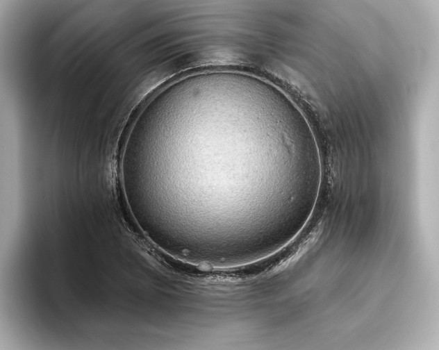 X0000093621073200710151256