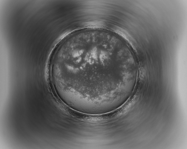 X0000093621074200710151256