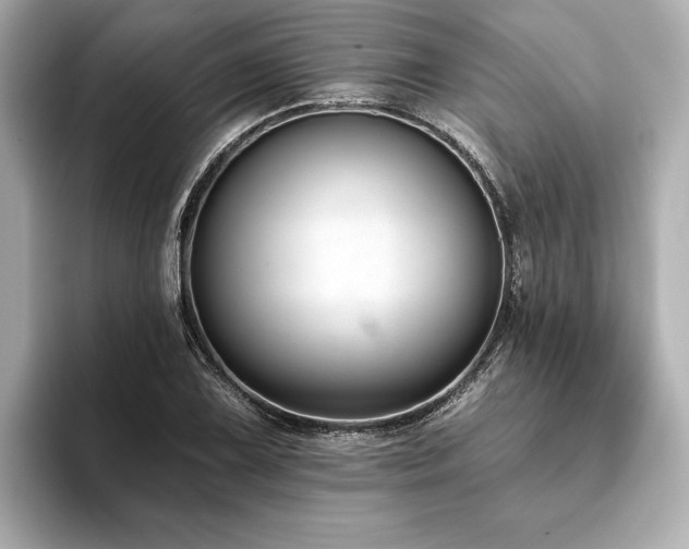 X0000093621075200710151256