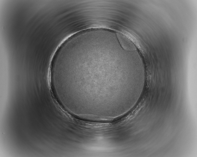 X0000093621076200710151256