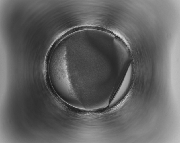 X0000093621077200710151256