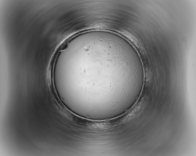 X0000093621078200710151256