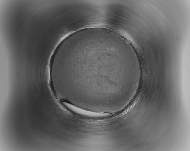 X0000093621079200710151256