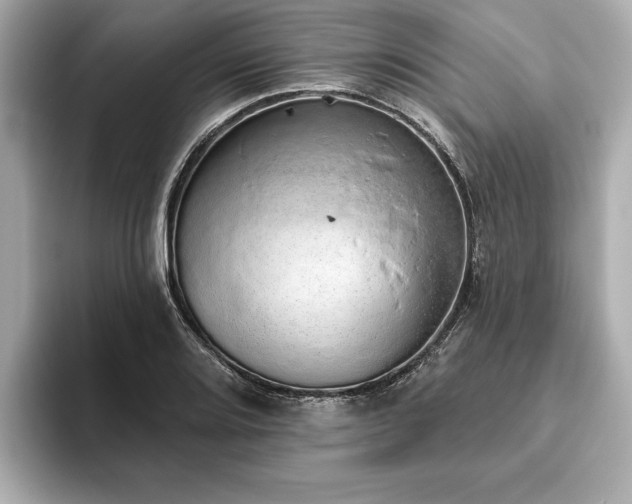 X0000093621080200710151256