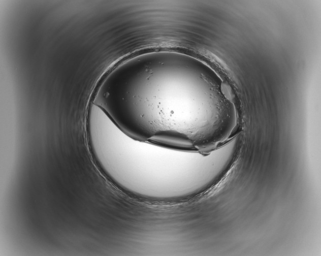 X0000093621081200710151256