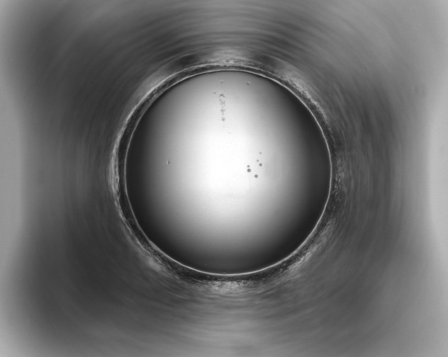 X0000093621082200710151256