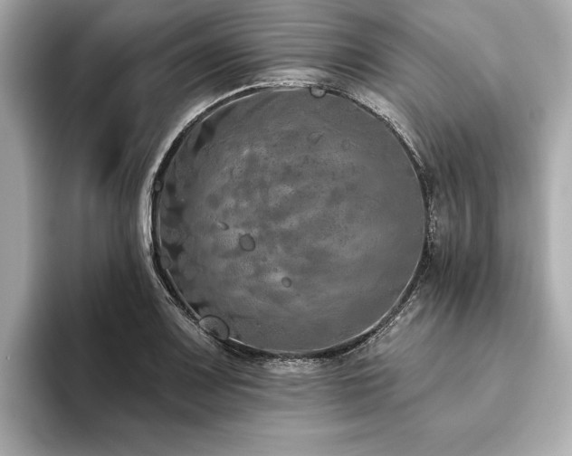 X0000093621083200710151256
