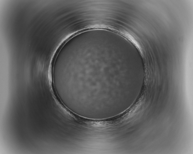 X0000093621084200710151256