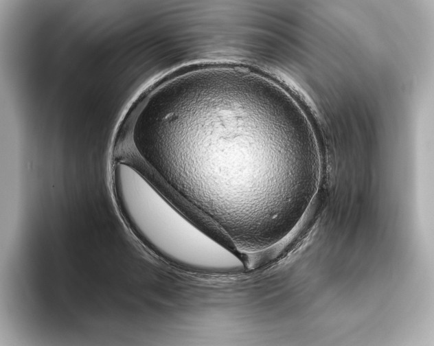 X0000093621085200710151256
