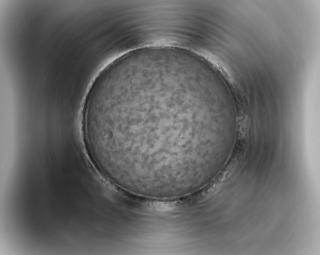 X0000093621086200710151256