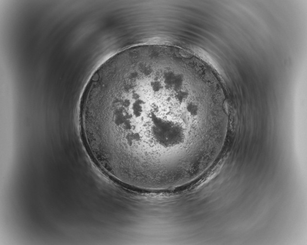 X0000093621087200710151256
