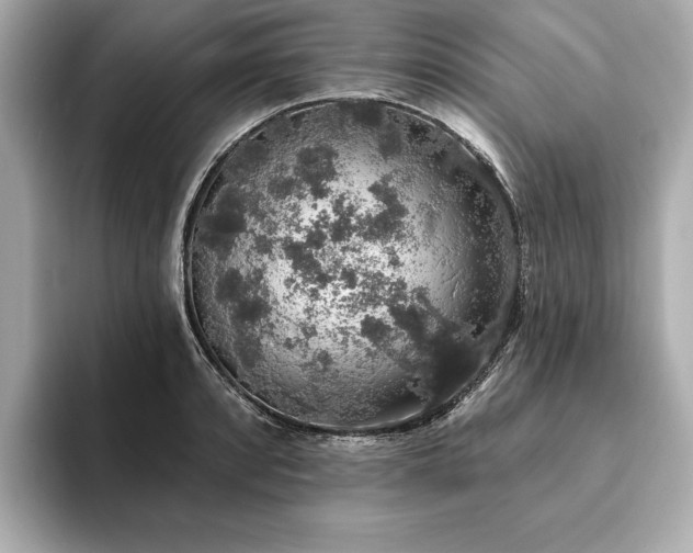 X0000093621088200710151256