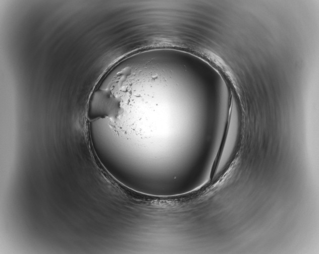 X0000093621089200710151256