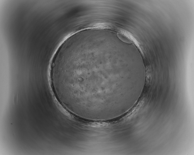 X0000093621091200710151256