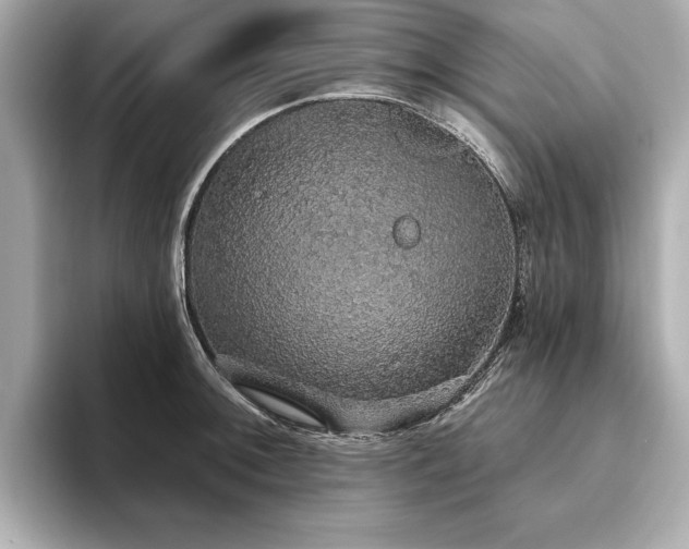 X0000093621092200710151256