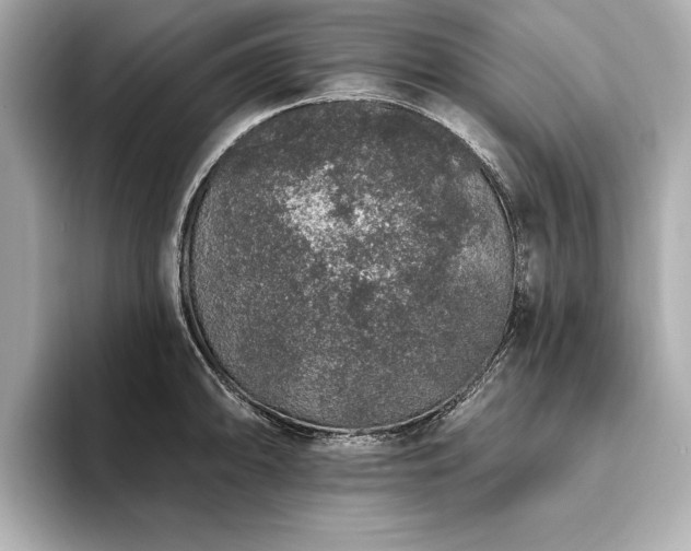X0000093621094200710151256
