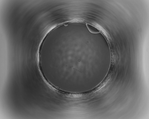 X0000093621095200710151256