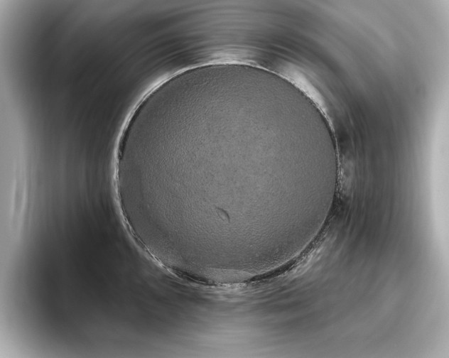 X0000093621096200710151256