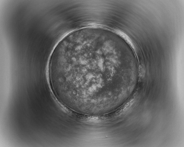 X0000093621098200710151256