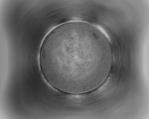 X0000093621100200710151256