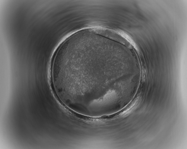 X0000093621101200710151256
