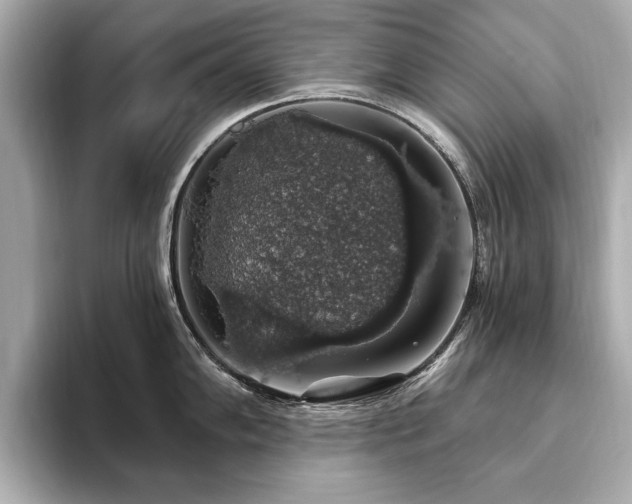X0000093621102200710151256