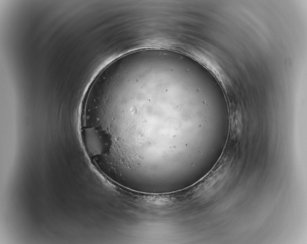 X0000093621103200710151256