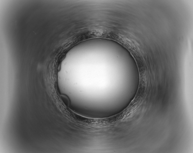 X0000093621105200710151255