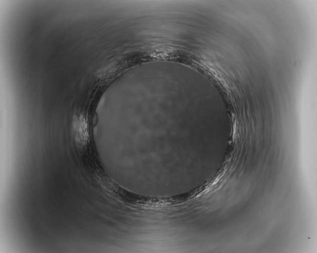X0000093621106200710151255