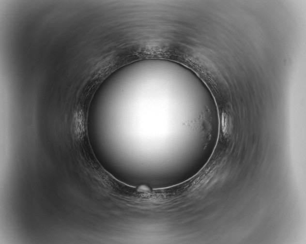 X0000093621107200710151255