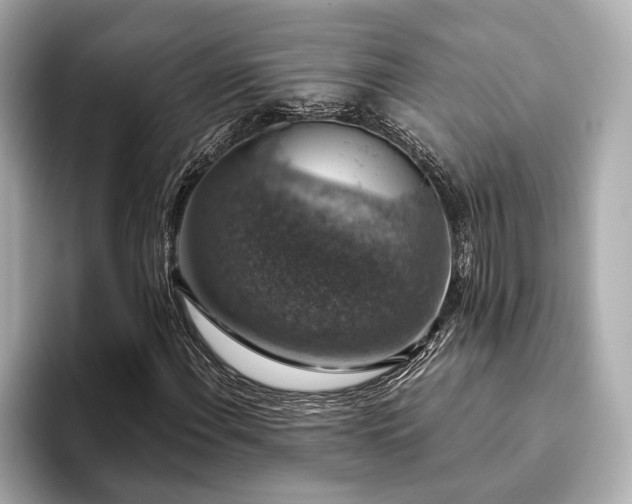 X0000093621108200710151255