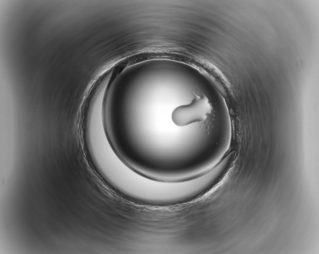 X0000093621114200710151255
