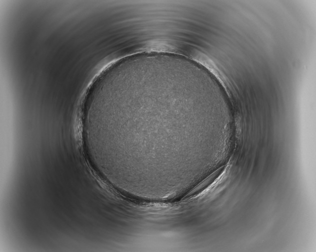X0000093621115200710151255