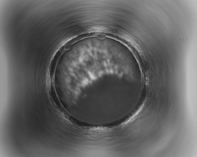 X0000093621117200710151255