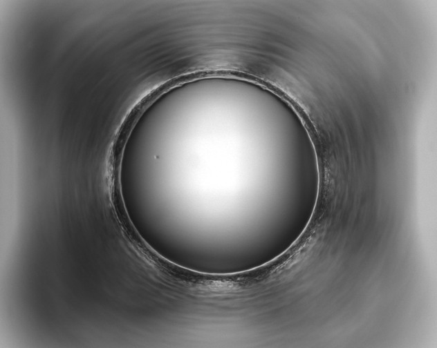 X0000093621119200710151255