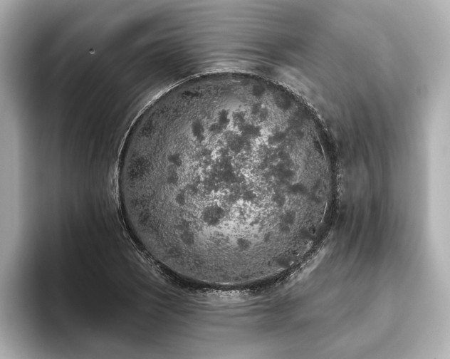 X0000093621121200710151256