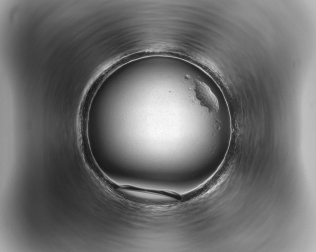 X0000093621122200710151256
